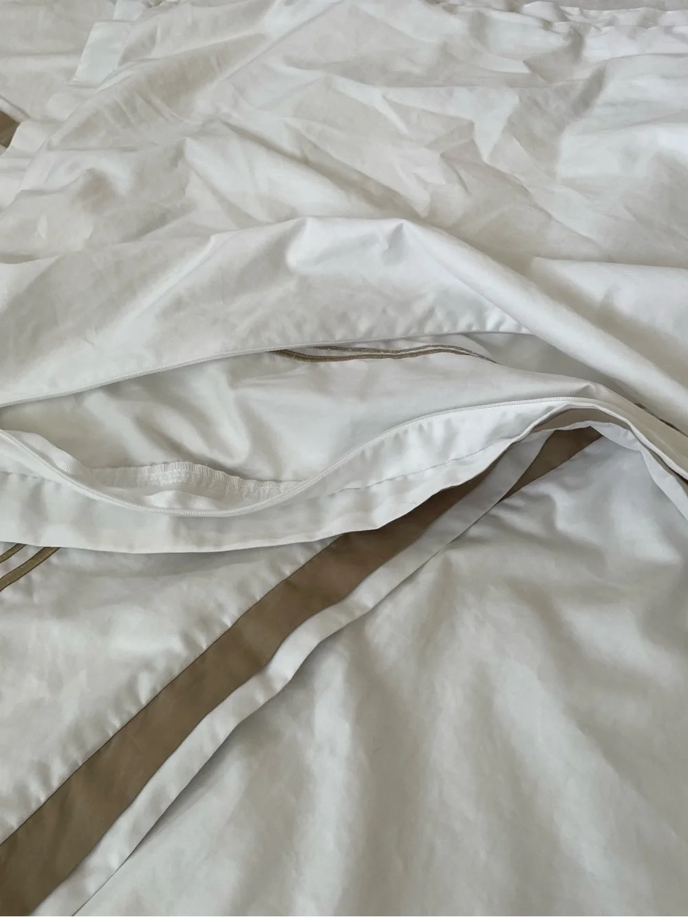 Hotel Collection 3 Pc Egyptian Cotton King Duvet & Standard Shams